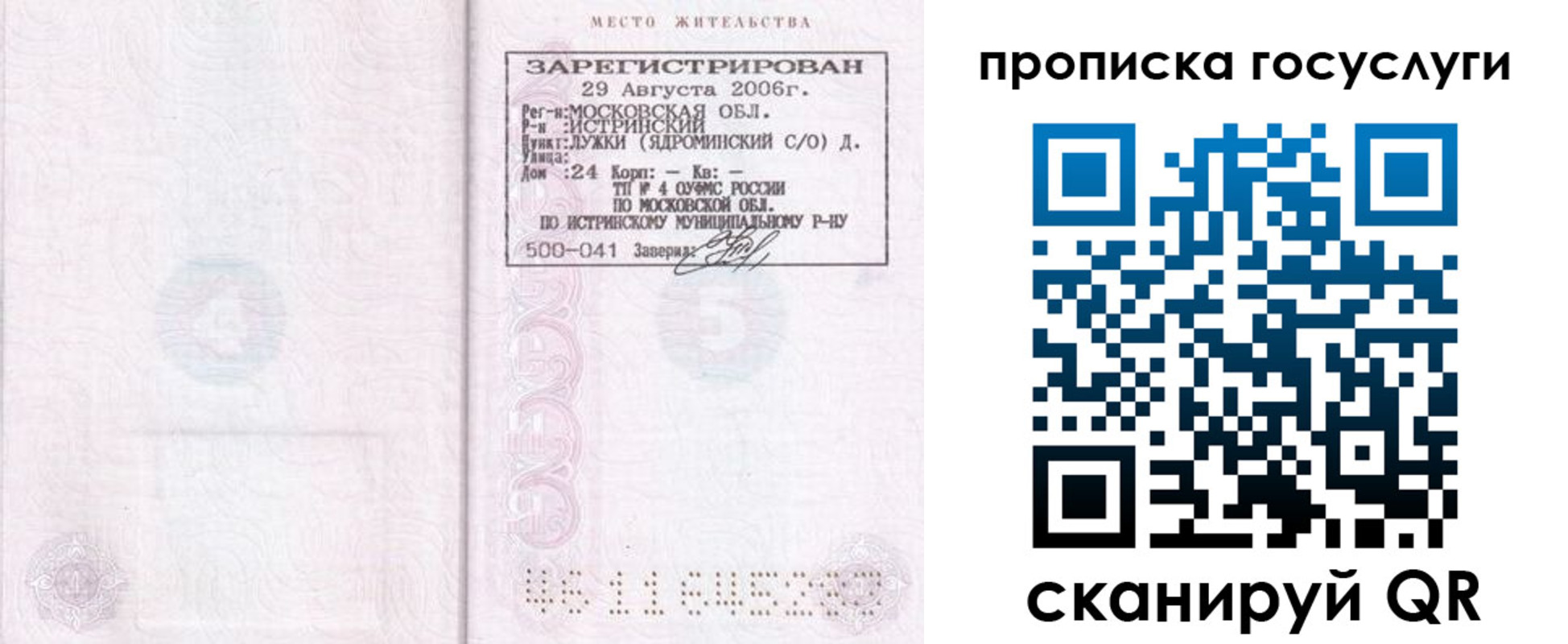 временная регистрация поиск в Светлогорске