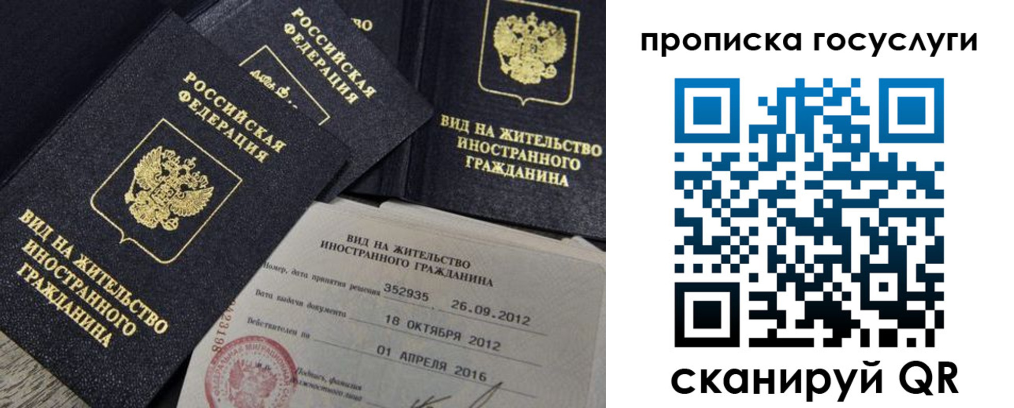 временная регистрация недорого в Светлогорске